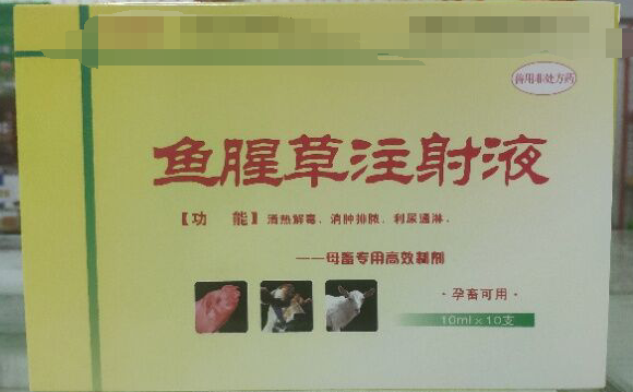 魚腥草注射液，清熱解毒，消腫排濃，利尿通琳，乳房脹痛，排尿不暢等