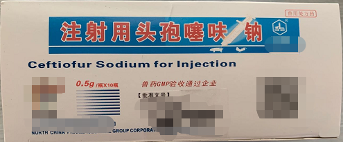 注射用頭孢賽呋鈉0.5g  抗菌藥 具有廣普殺菌作用  對革蘭氏陽性菌、革蘭氏陰性菌均有效。其抗菌機(jī)理為抑制細(xì)胞壁的合成而導(dǎo)致細(xì)菌死亡。敏感菌主要有殺性巴氏桿菌、溶血性巴氏桿菌、膜膜 肺炎放線桿菌、沙門氏菌、大腸桿菌、鏈球菌、葡萄球菌等