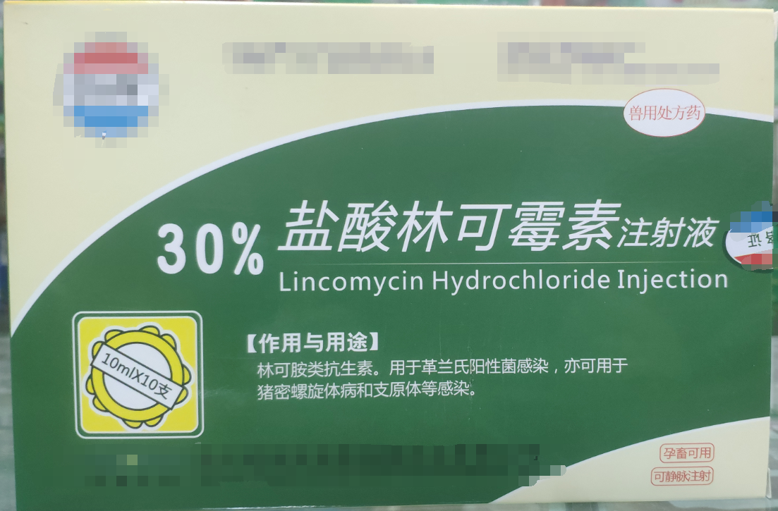 30%林可霉素注射液，用于革蘭氏陽性菌感染，亦用于母蓄的產后消炎，亦可用于豬密螺旋體和支原體感染