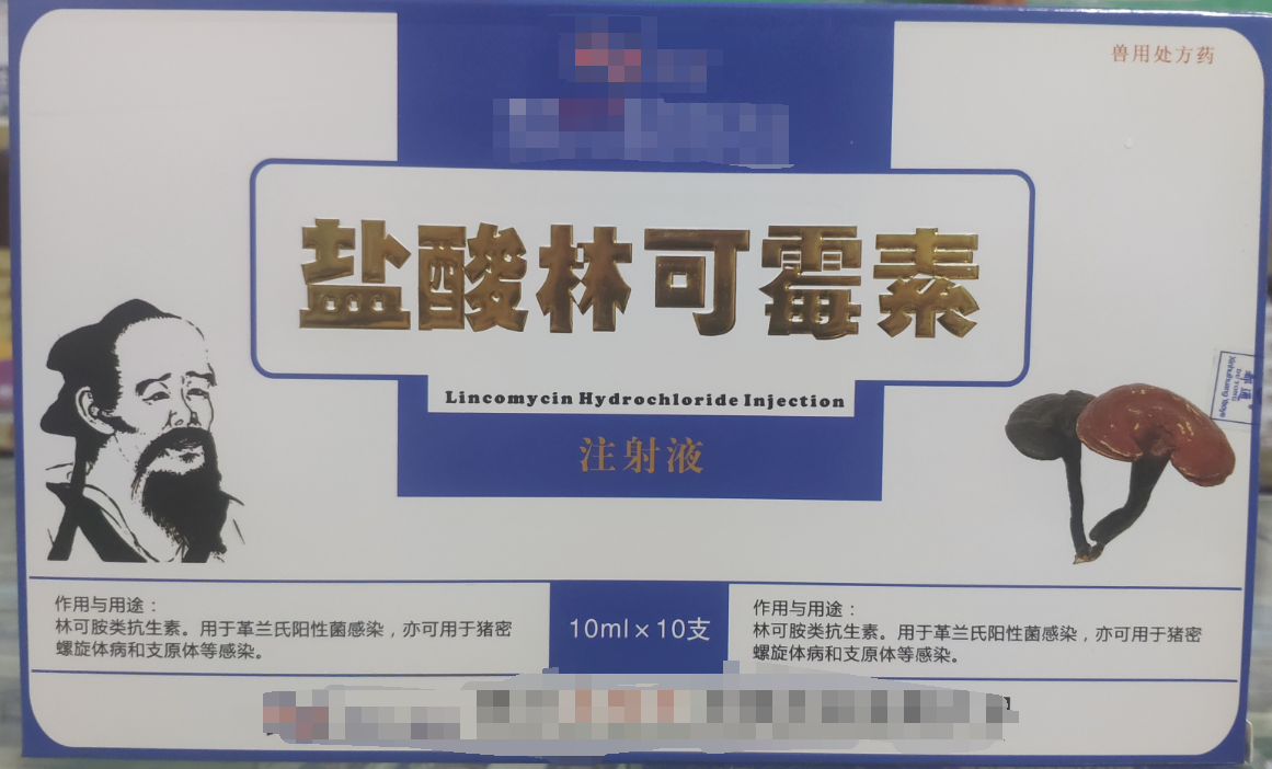 林可霉素注射液，用于革蘭氏陽性菌感染，亦可用于豬密螺旋體和支原體感染
