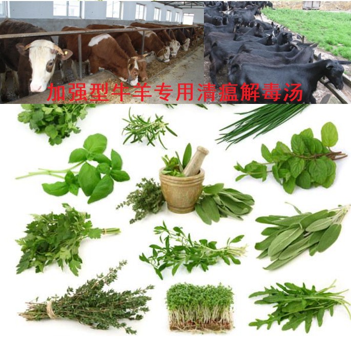 加強(qiáng)型牛羊?qū)Ｓ们逦两舛緶?6味原生中草藥公開(kāi)組方，牛羊養(yǎng)殖場(chǎng)常備無(wú)憂(yōu)