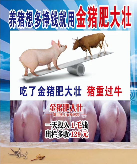 養(yǎng)豬想多掙錢就用金豬肥大壯--1天投入1毛錢，提前出欄13天，多長20斤，就是牛
