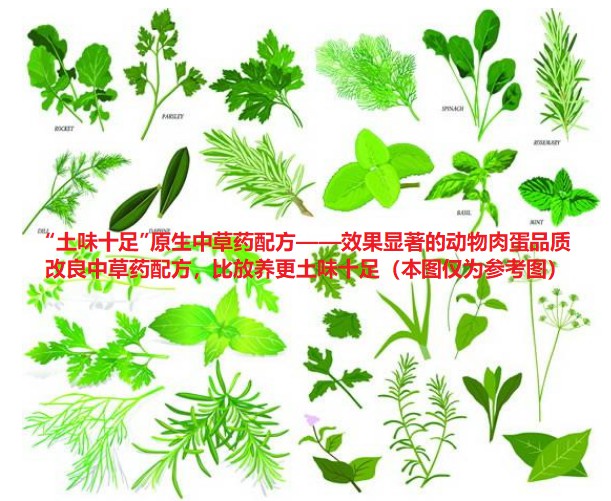 “土味十足”原生中草藥配方——效果顯著的動(dòng)物肉蛋品質(zhì)改良中草藥配方，比放養(yǎng)更土味十足
