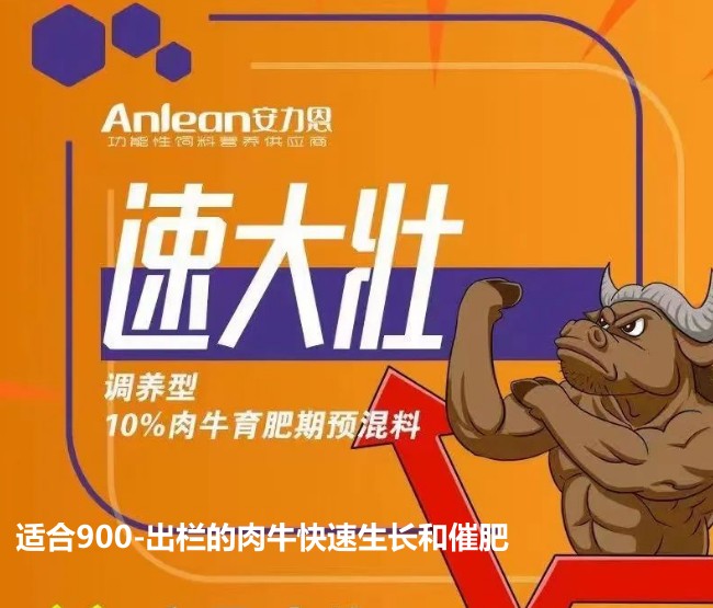 安力恩——速達(dá)壯調(diào)養(yǎng)型10%肉牛育成期預(yù)混料-適合900-出欄的肉?？焖偕L和催肥