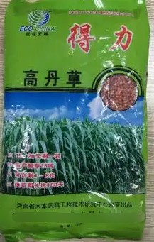 得力高丹草---“養(yǎng)魚(yú)青飼料之王”，具有產(chǎn)量高、葉量豐富、適應(yīng)性廣、營(yíng)養(yǎng)豐富、生長(zhǎng)速度快、多次刈割、利用率高