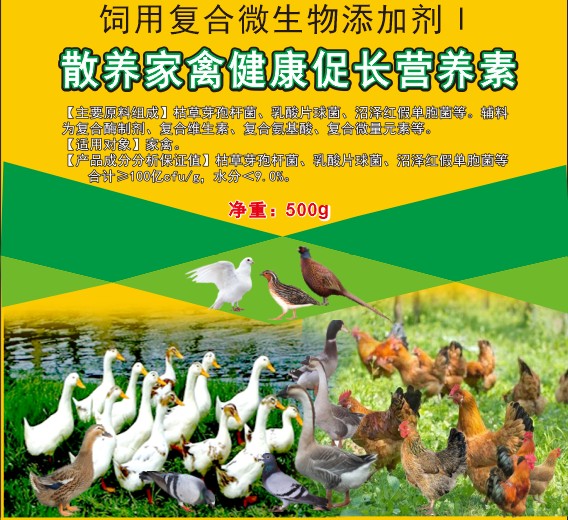 散養(yǎng)家禽健康促長營養(yǎng)素，散養(yǎng)土雞土鴨促長營養(yǎng)素，散養(yǎng)土蛋雞增產(chǎn)保健營養(yǎng)素
