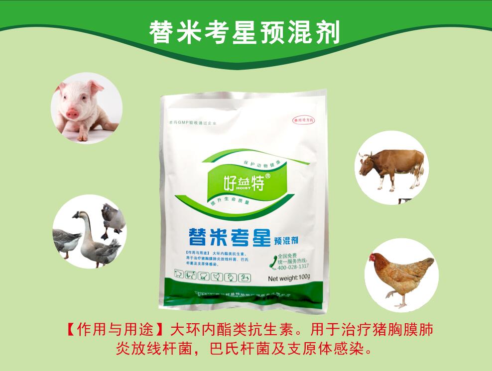 替米考星粉，呼吸道病更好的抗生素，主要防治家畜肺炎(由胸膜肺炎放線桿菌、巴氏桿菌、支原體等感染引起)、禽支原體病及泌乳動物的乳腺炎。