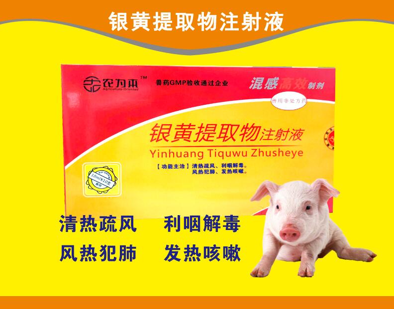 銀黃提取物注射液--混感高效，清熱疏風(fēng)，利咽解毒，風(fēng)熱范肺，發(fā)熱咳嗽。
