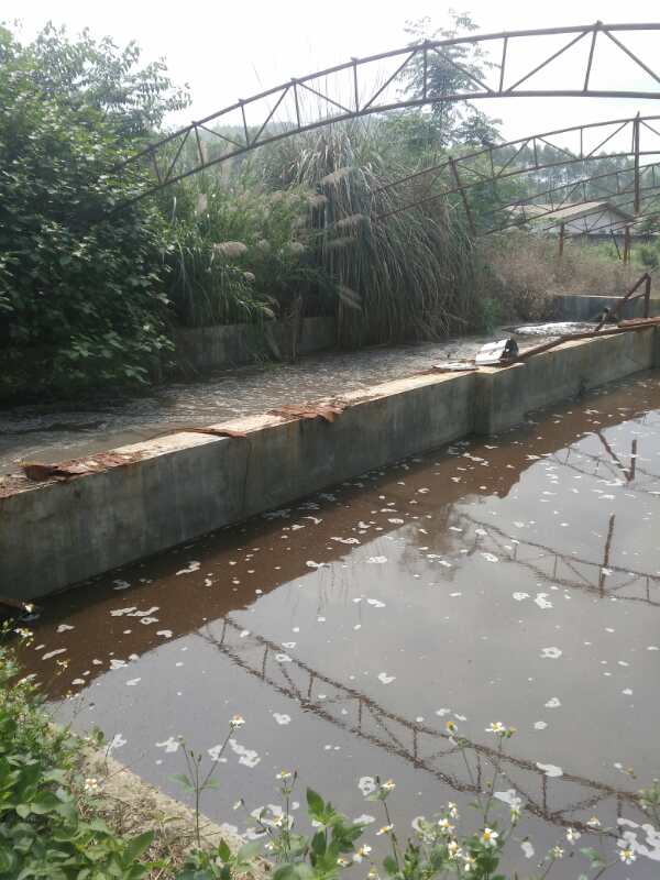 使用畜禽流體糞污快速發(fā)酵劑兩個池對比圖.jpg