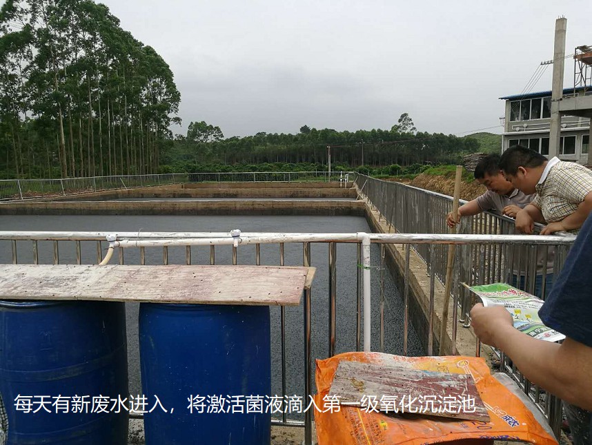 每天有新廢水進(jìn)入，將激活菌液滴入第一級氧化沉淀池.jpg